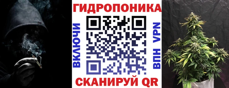 купить наркотики сайты  Лагань  Конопля SATIVA & INDICA 